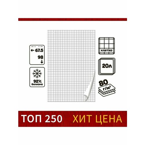 Блокнот для флипчарта в клетку Calligrata 67.5 x 98 см 20 блокнот be smart коллекция joke точки 80 листов в клетку 15 6 х 20 7 см