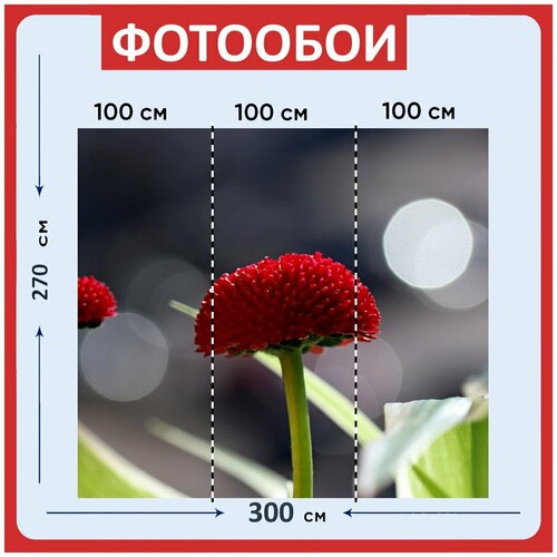Фотообои Цветок красный сад 300x270 см флизелиновыена стену 3970₽