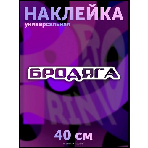 Наклейка на авто надпись Бродяга 491₽