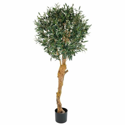 Nobilis Marco Plants Дерево искусственное в кашпо Олива для дома улицы офиса озеленения декора H155 2106 листьев