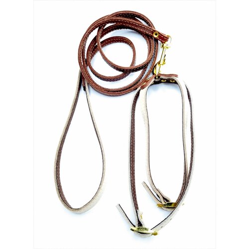 Шлейка с поводком для собак маленьких пород, размеры перед грудью 41х1см, под живот 48х2 см кожаный ошейник / кожаная шлейка для маленьких собак