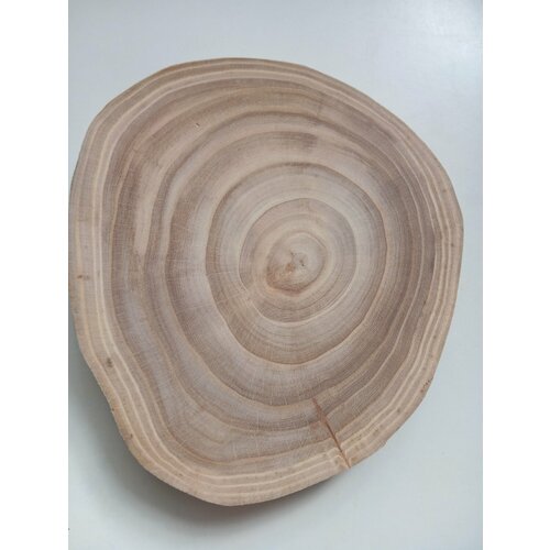 Спил дерева карагач , подставка, заготовка 19/18/3,5см