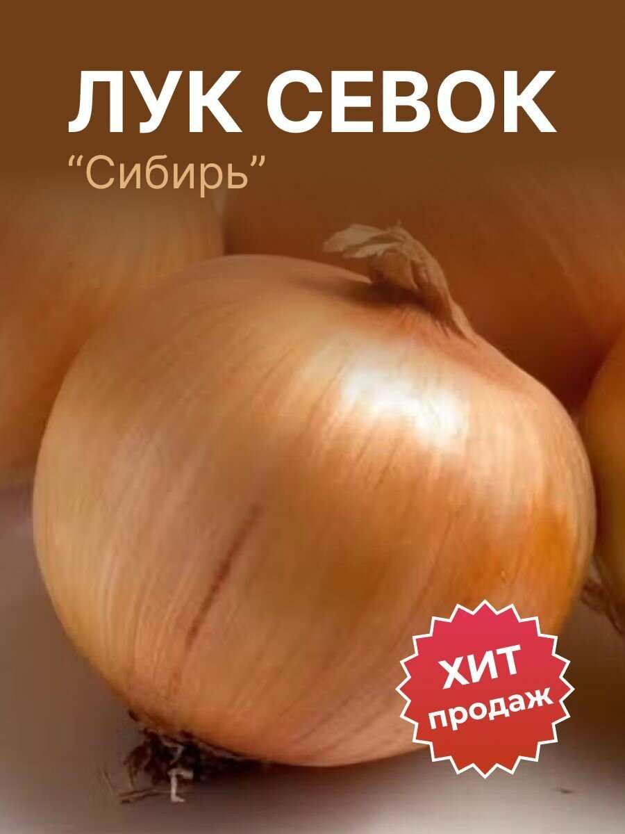 Лук севок на посадку "Сибирь" 500г