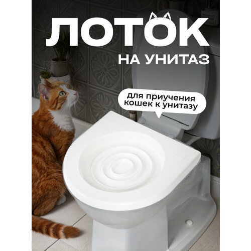 Туалет для приучения кошек к унитазу