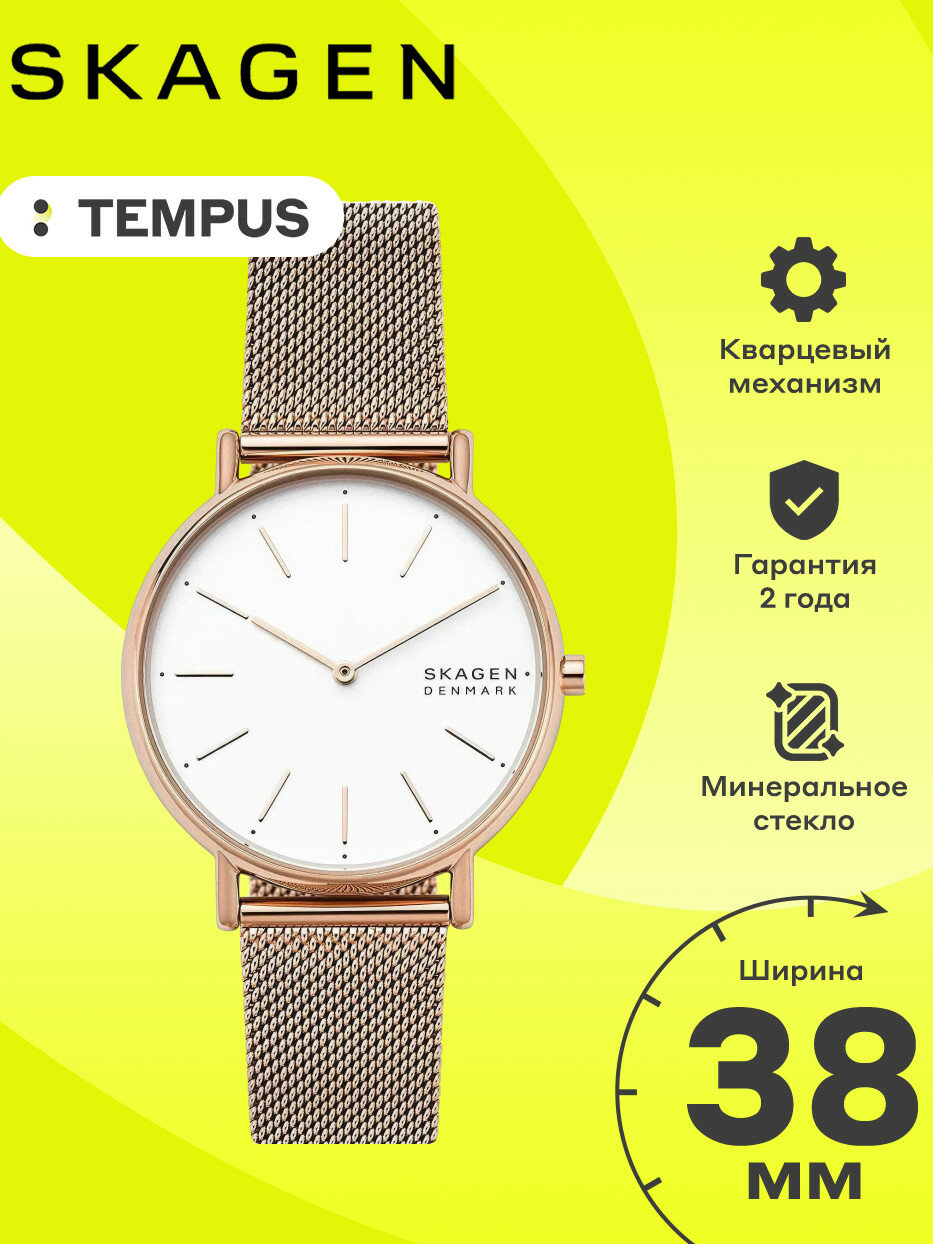 Наручные часы SKAGEN Signatur, белый