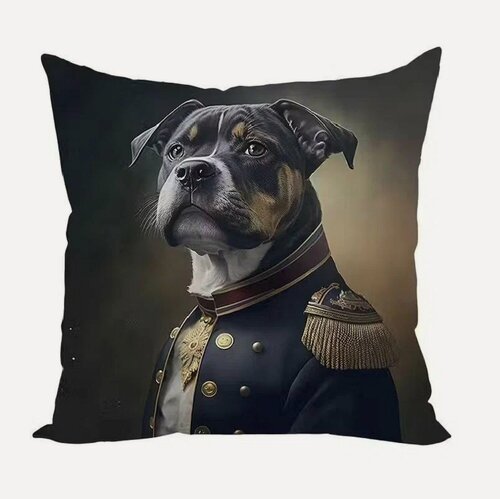 Изображение товара Чехол для подушки Боксер Генералы Живопись 40х40 велюр