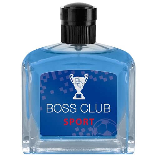 Юдиф туалетная вода Boss Club Sport, 100 мл, 345 г туалетная вода мужская boss club priority 100 мл
