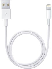 Кабель Apple Lightning to USB cable 0.5м (ME291ZM/A)