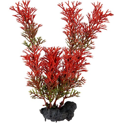 Искусственное растение Tetra Red Foxtail S 15 см красный искусственное растение tetra red foxtail l 2 шт 30 см красный