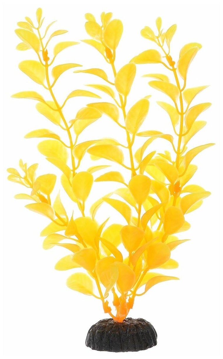 Растение Людвигия ярко-желтая, 200мм