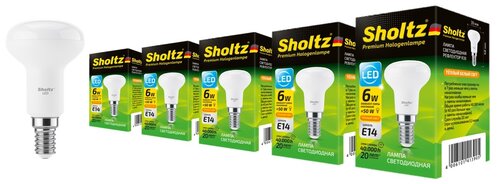Комплект из 5 светодиодных энергосберегающих ламп Sholtz рефлектор R39 6Вт E14 3000К 220В пластик (Шольц) LER4139P