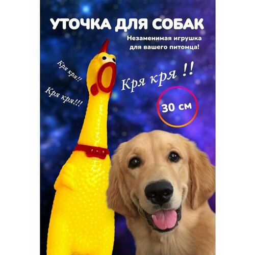 Игрушки для животных курица пищалка 30см