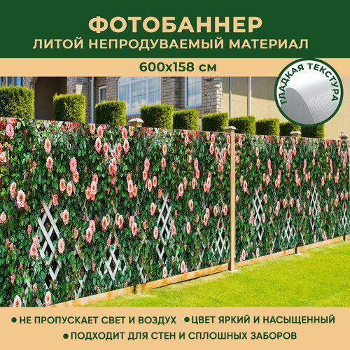 фото Фотобаннер мечта для стен и сплошных заборов 600x158 см, "розы на штакетнике" / фотофасад