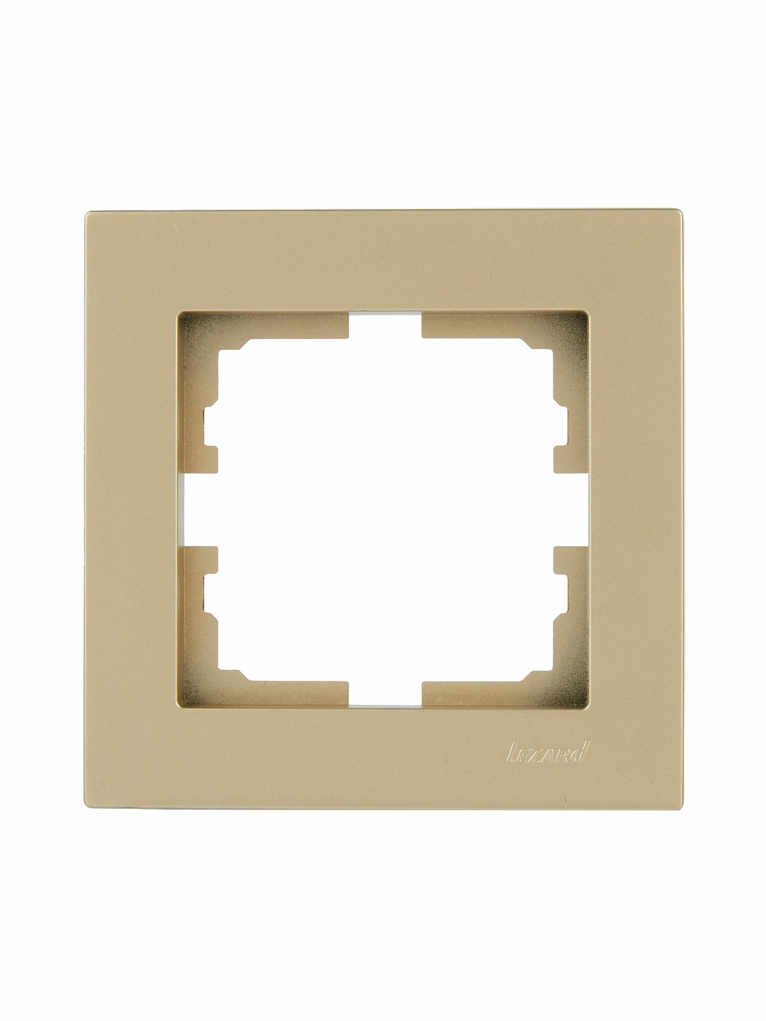 Рамка 1-ая горизонтальная VESNA золото