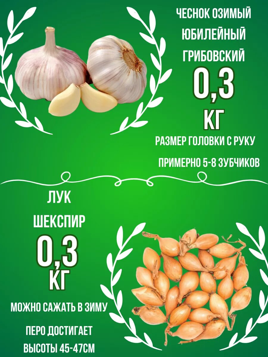 Набор Чеснок Озимый и Лук севок 0.3 кг
