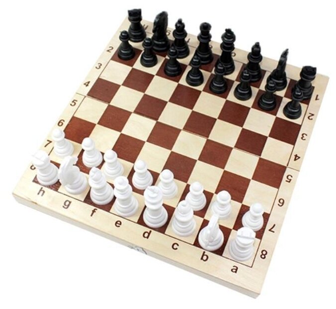 Настольная игра Десятое королевство Шахматы, пластмассовые фигуры в деревянной упаковке (поле 29см х 29см) 03878ДК - фотография № 1