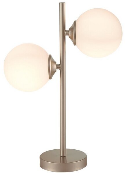 Интерьерная настольная лампа светодиодная с выключателем ST Luce Redjino SLE106204-02