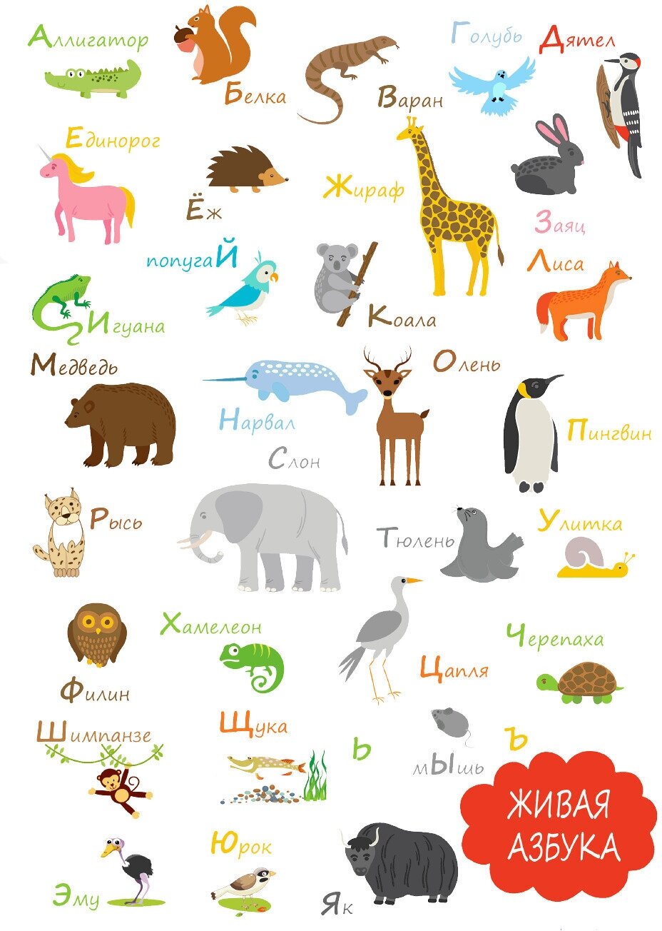 Плакат "Русский алфавит для детей. Тематика: Животные" / Формат А4 (21х30 см) / Постер для интерьера