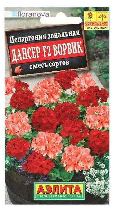 Семена цветов . Пеларгония . Дансер Ворвик . смесь окрасок, F2, 5 шт .