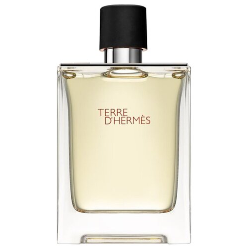 HERMES Terre D'Hermes M 100 edT