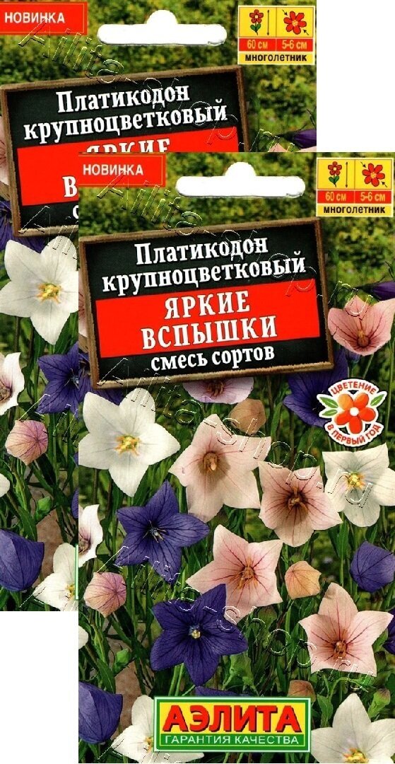 Платикодон Яркие вспышки смесь сортов (003 г) 2 пакета