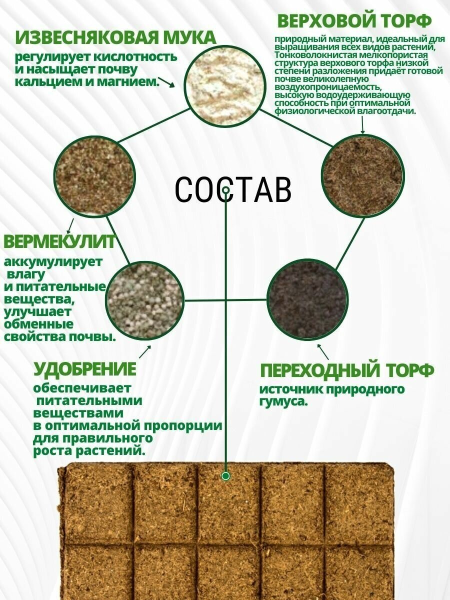 Почвобрикет БиоМастер Яркая Бегония 5 л