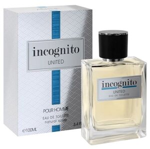 Мужская туалетная вода Art Parfum Incognito United, 100 мл