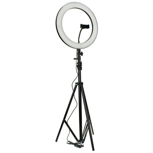 Кольцевая светодиодная лампа 36см со штативом 2 метра для профессиональной съемки 310000₽