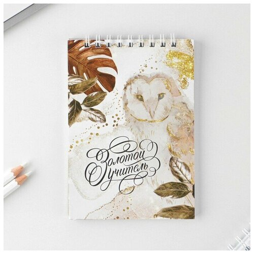 Блокнот Золотой учитель на гребне А6 40 листов 650₽