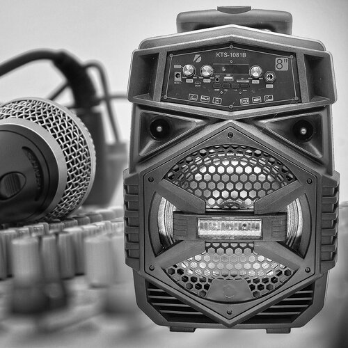 Активная напольная акустика KTS-1081B 597600₽