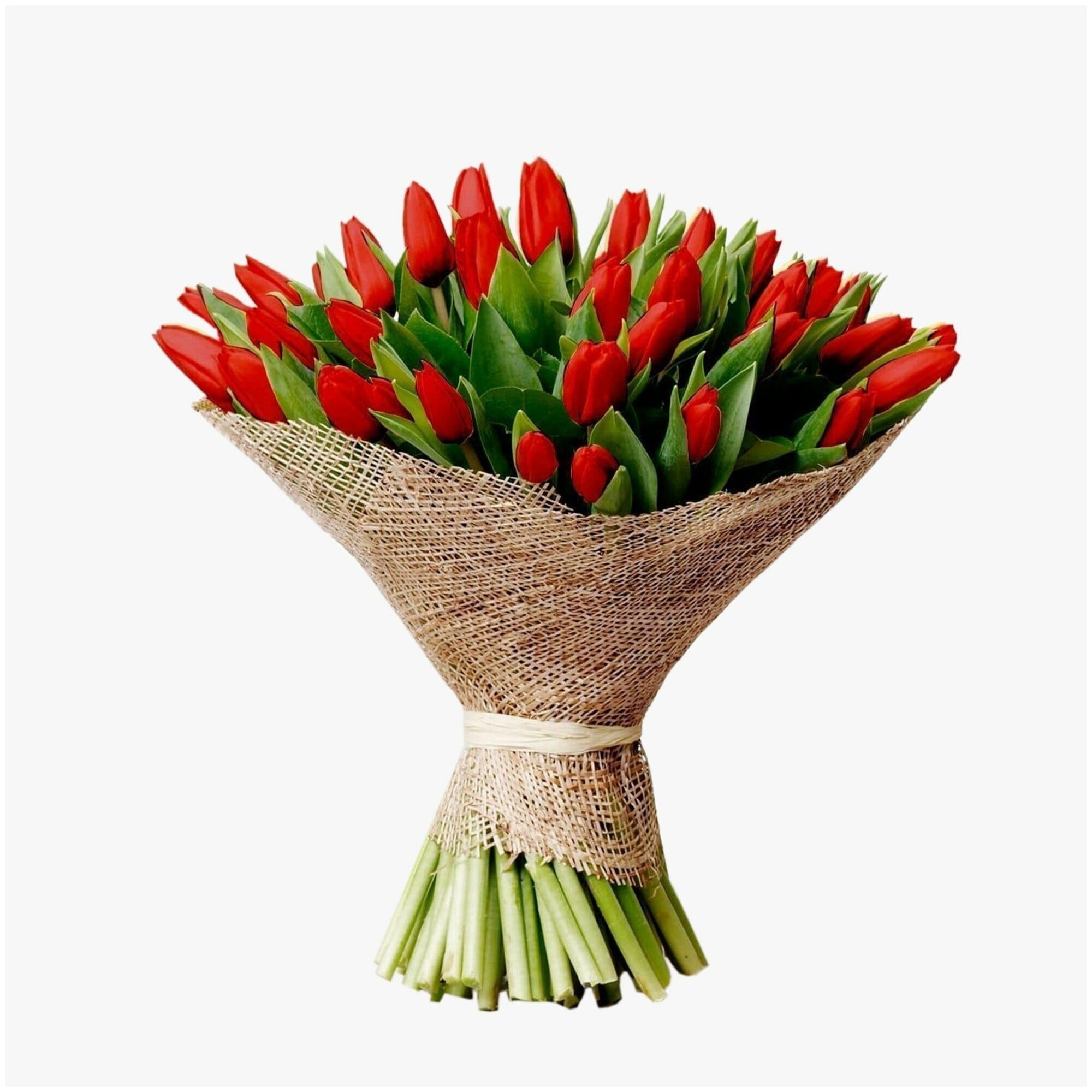 Букет 101 красный тюльпан