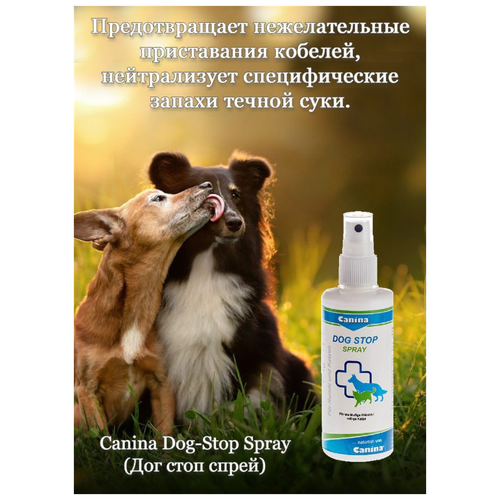 Dog-Stop Spray спрей для отпугивания кобелей(100мл) спрей для собак beaphar stop it dog отпугивающий 100мл