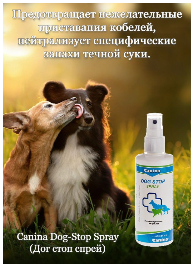 Dog-Stop Spray спрей для отпугивания кобелей(100мл)