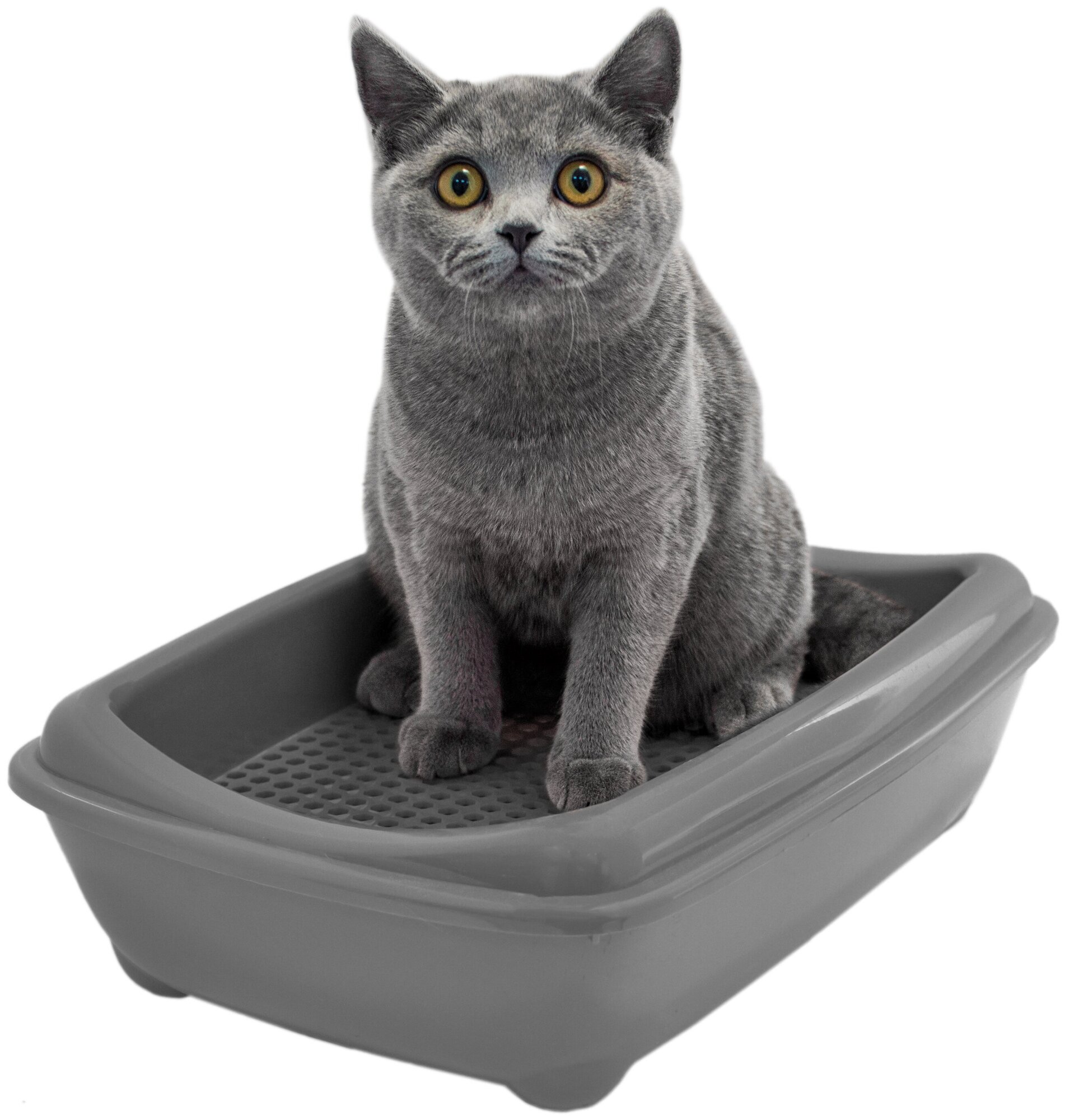 Туалет лоток для кошек с бортом, с рамкой-сеткой PetTails, глубокий (под наполнитель) 43*30*12см, серый - фотография № 4