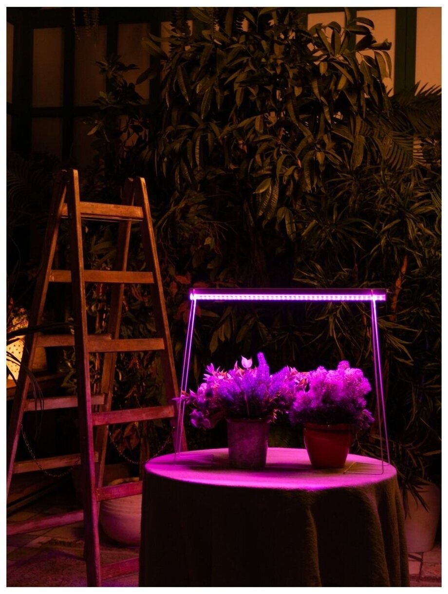 Светильник для растений светодиодный линейный, 570мм ULI-P28-11W/SPSB IP20 WHITE - фотография № 9