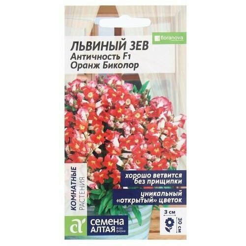 Семена цветов Львиный зев Античность, оранж биколор 10 шт 4 упаковки