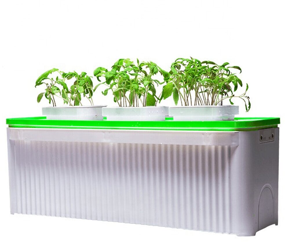 Гидропонная установка HobbyFarm DQ61003, домашний умный смарт сад, 3 ячейки