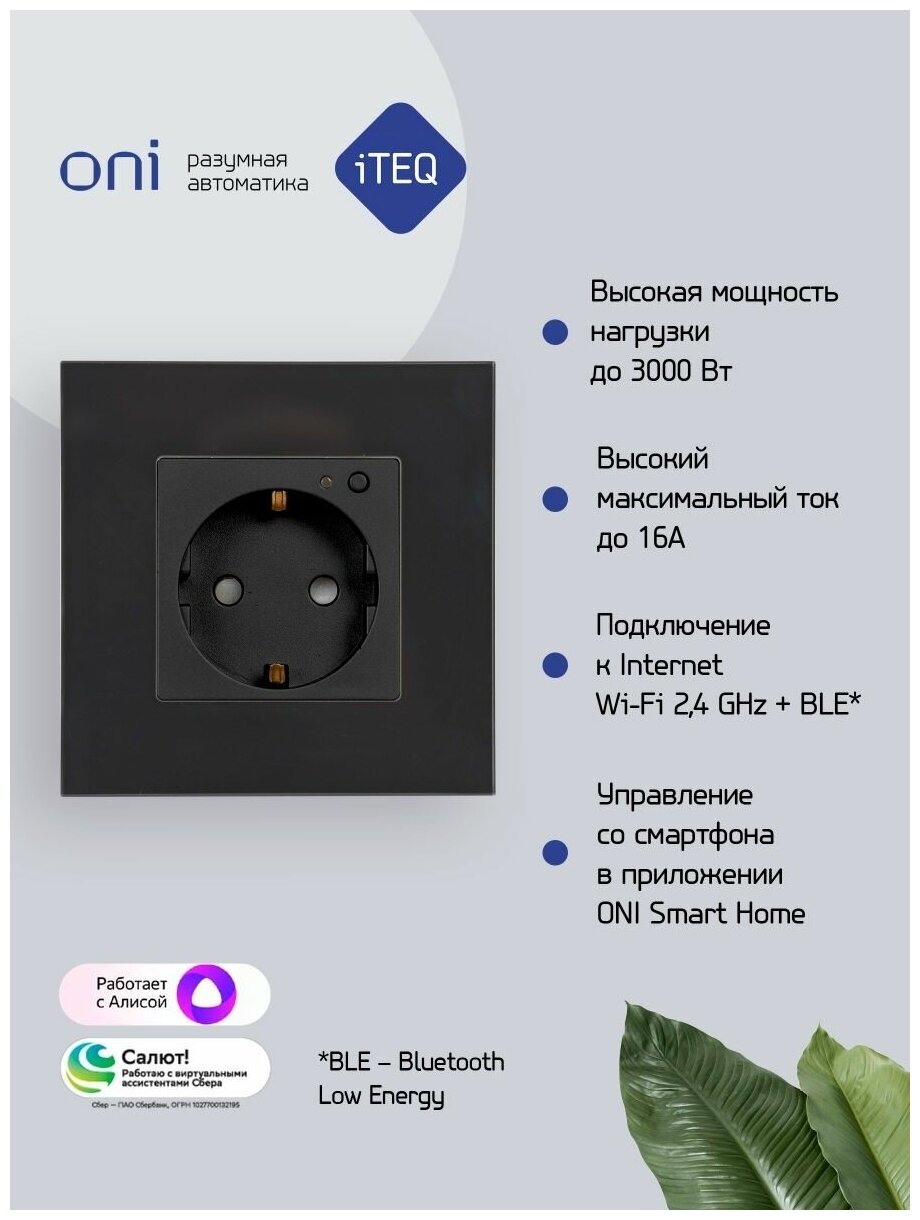 Умная розетка IEK iTeq Smart черный (it-r16sfwbg-k02) - фото №2