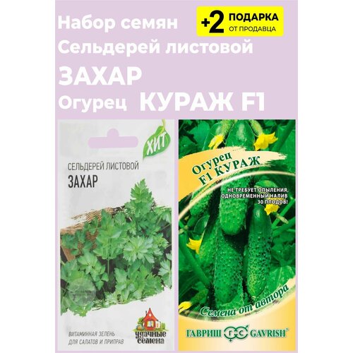 Набор семян: Сельдерей листовой "Захар", 0,3 гр. + Огурец "Кураж F1", 10 сем. + 2 Подарка