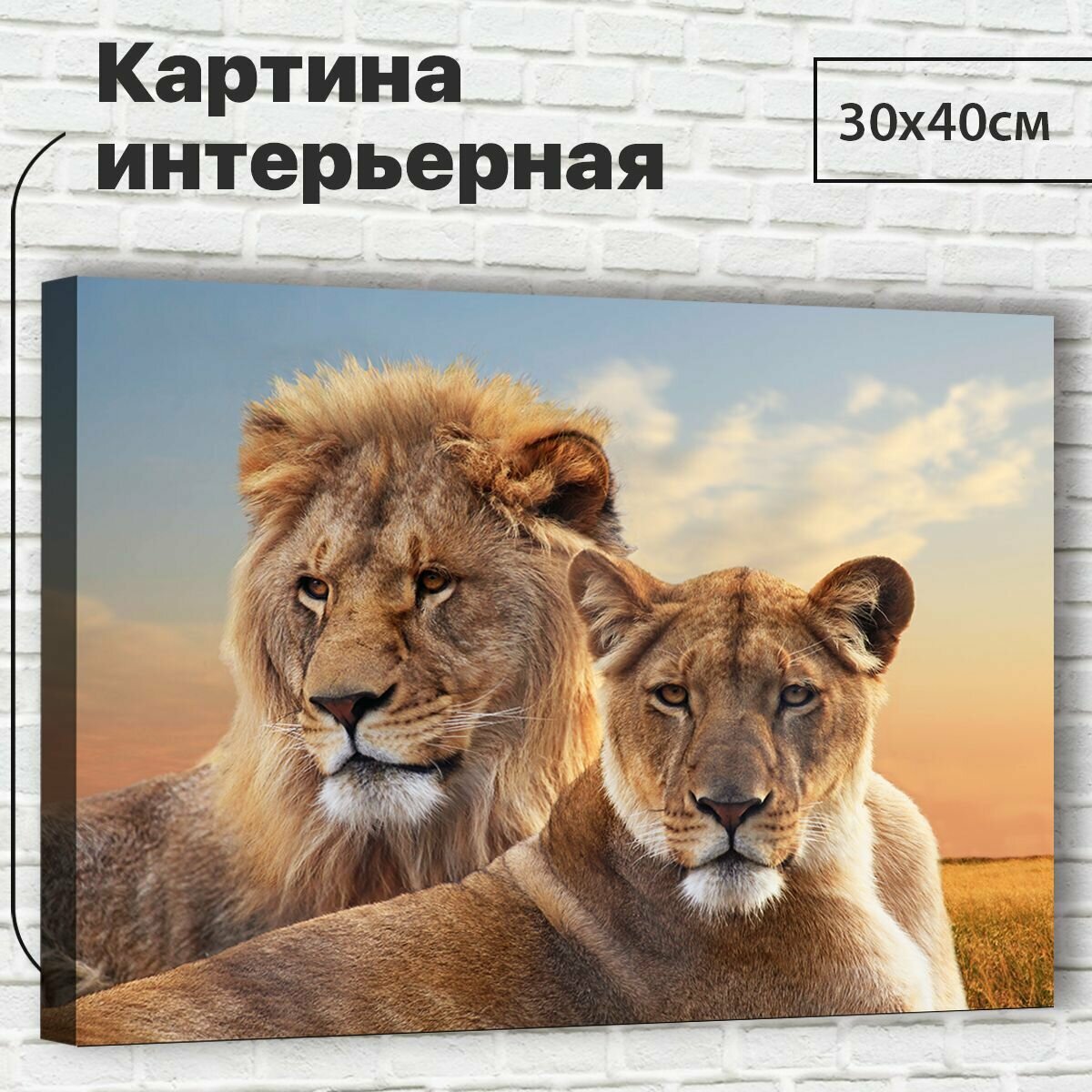 Картина для интерьера / Картина на стену "Лев и львица", 30х40см M0011 - Крепления в подарок