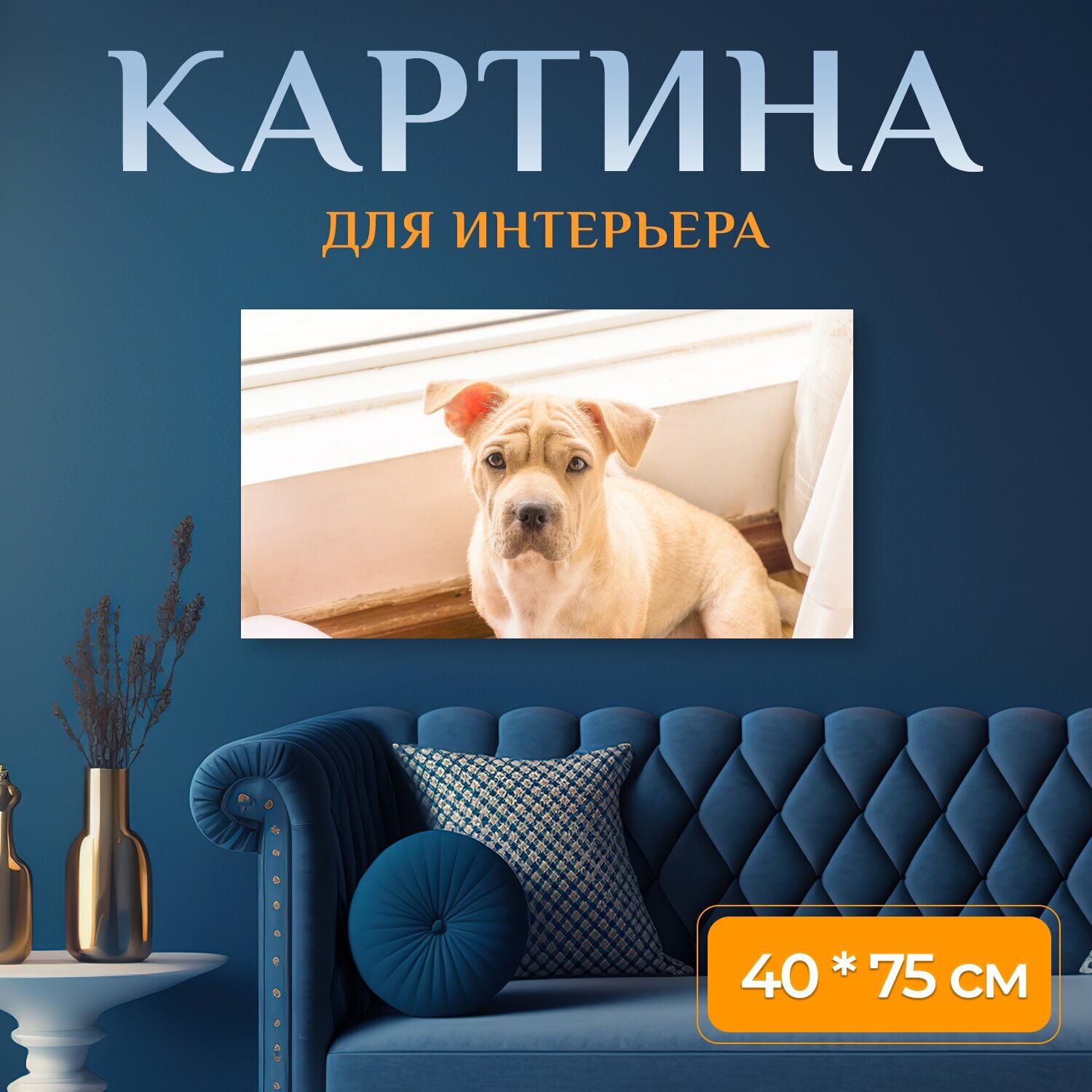 Картина на холсте "Собака домашний питомец дом" на подрамнике 75х40 см. для интерьера