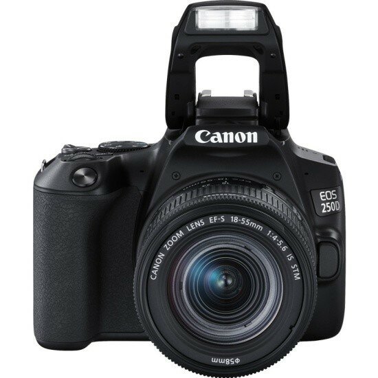Фотоаппарат Canon EOS 250D Kit EF-S 18-55mm f/4-5.6 IS STM