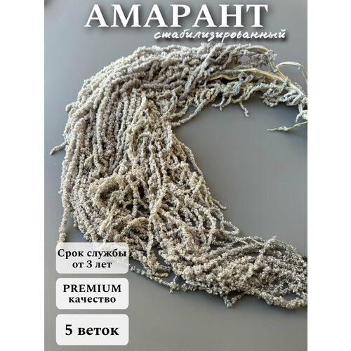 серебристый, светлый, серый