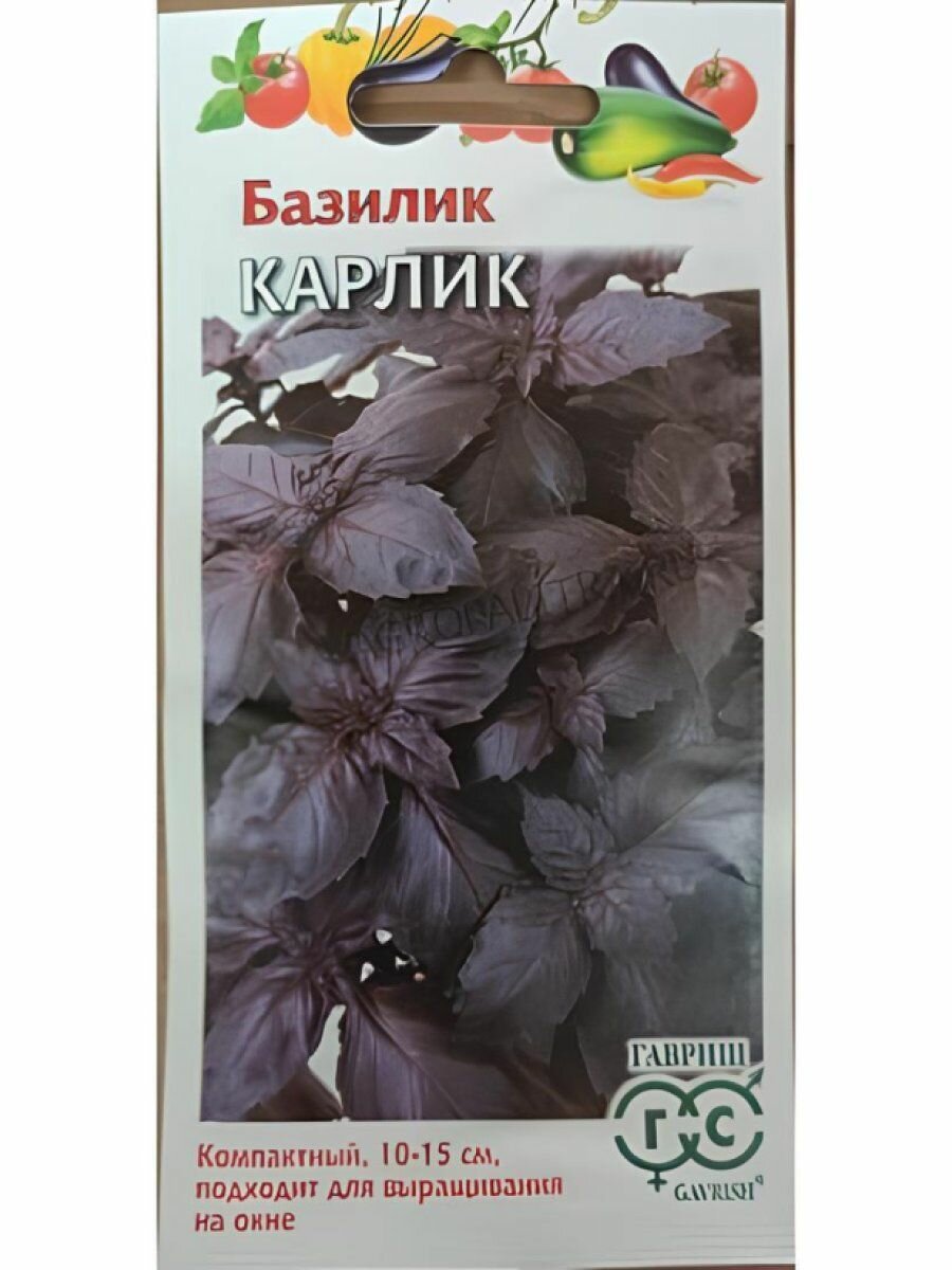 Базилик Карлик фиолетовый ц/п 01-03 г  Семена Гавриш