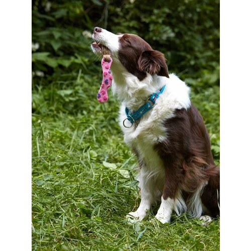 Игрушка для собак Japan Premium Pet эластичная зубочистка из натурального льна и латекса. Рисунок сердечки.