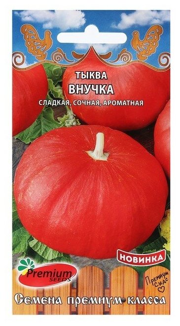 Тыква Внучка (7 семян), 2 пакета