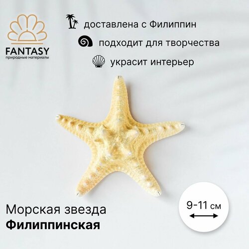 Натуральная морская звезда FANTASY Филиппинская 1 шт. 9-11 см