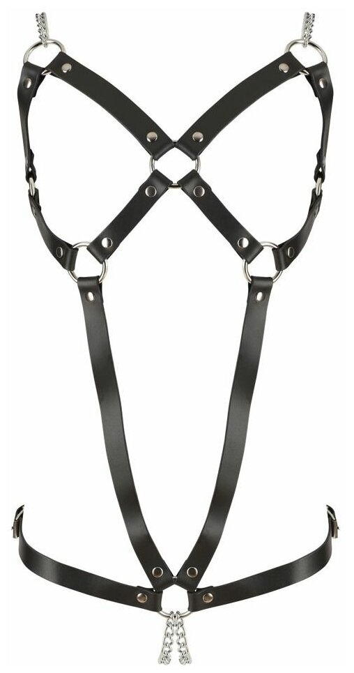 Leather Harness & Steel Rivets