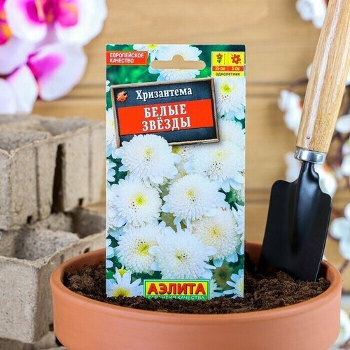 Семена цветов Хризантема девичья Белые Звезды О, 0,1 г 8 упаковок