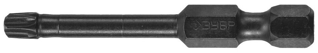 Кованые биты ЗУБР Профессионал Т25 50 мм 2 шт. (26025-25-50-S2)